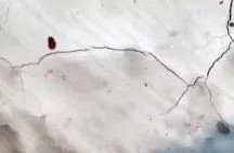 ʱ(й)ٷվ