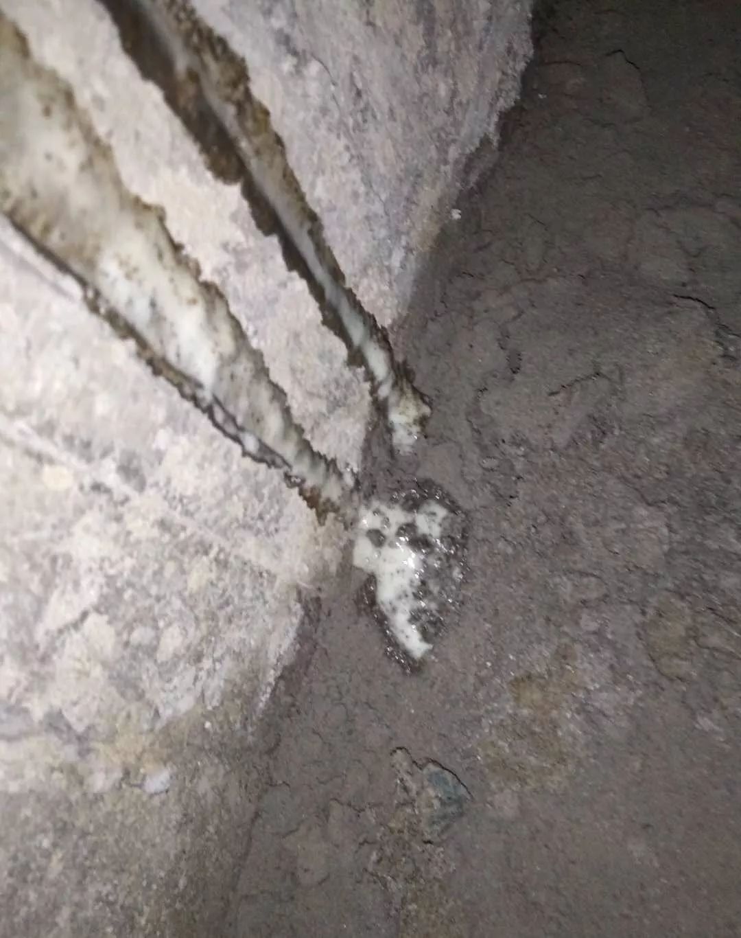 ʱ(й)ٷվ