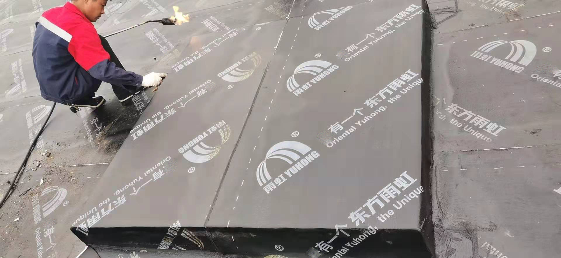 ʱ(й)ٷվ